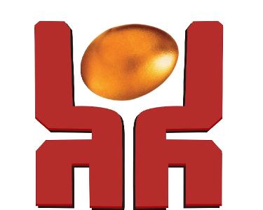 河南鼎越企業管理咨詢 專業商務咨詢，助力企業卓越發展